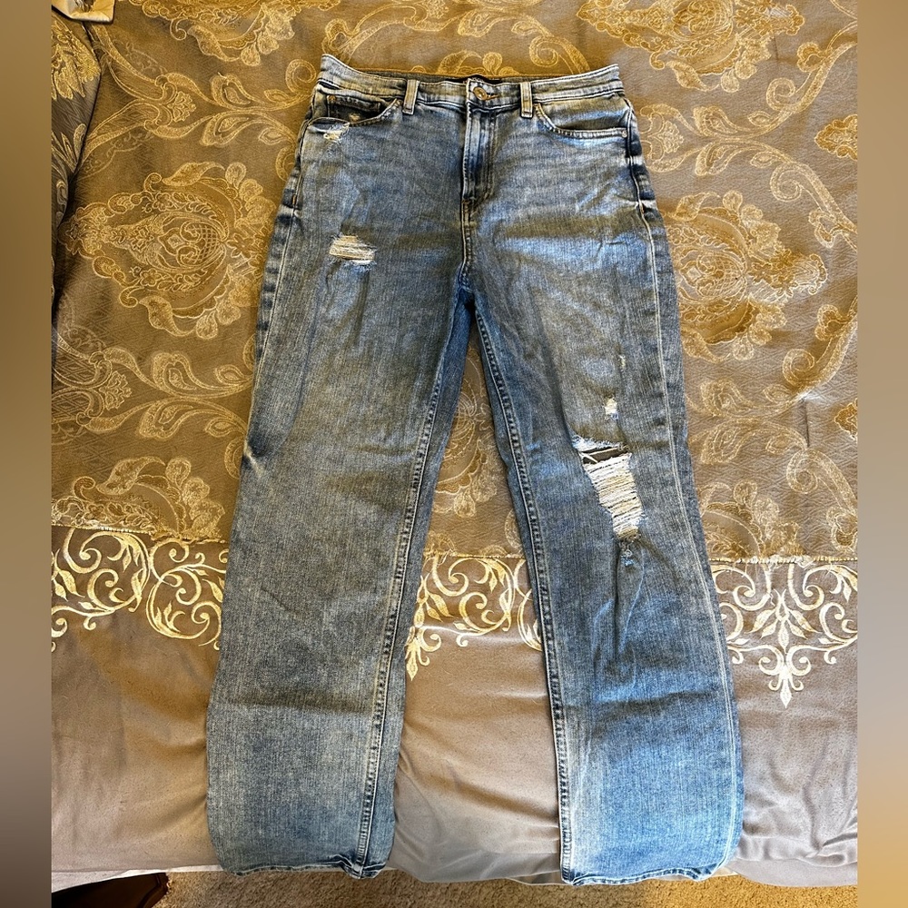 Hudson Distressed Jeans